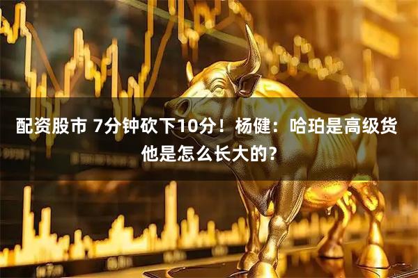 配资股市 7分钟砍下10分！杨健：哈珀是高级货 他是怎么长大的？